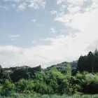 コンセプト
